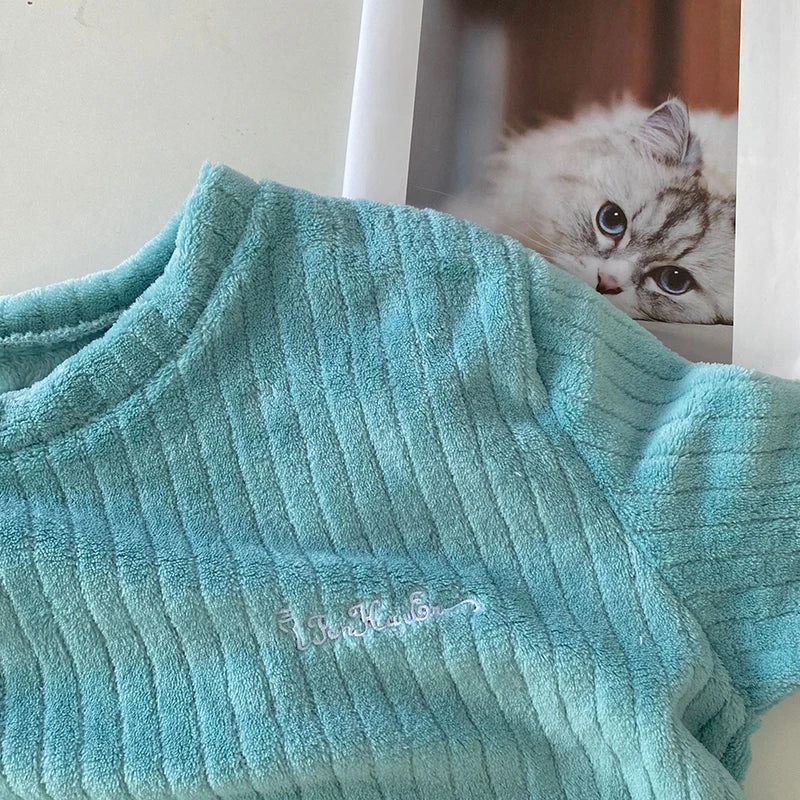 Autumn Women Solid Warm 2 Piece Sets Thicken Velvet Ribbed Fleece Set Pullover And Pants Women Casual Pajama Sets